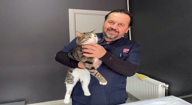 (ÖZEL) Çip uygulaması birçok fayda sağlayacak