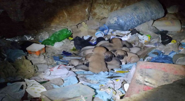 (ÖZEL) Eskişehirde vicdanları hem sızlatan hem de ısıtan olay