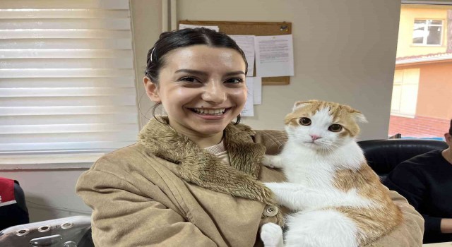 (ÖZEL) Evcil hayvanlar için çip yoğunluğu