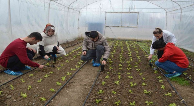 Özel gereksinimli öğrenciler uygulama atölyelerinde hayata adapte oluyor