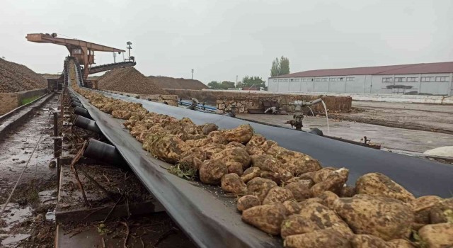 Pancar alım ve işleme kampanyası sona erdi