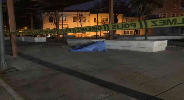 Parkta ölü bulundu