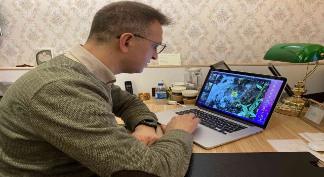 Prof. Dr. Ersin Karabacak: Benlisığırkuyruğu türünün nesli yüksek tehdit altındadır