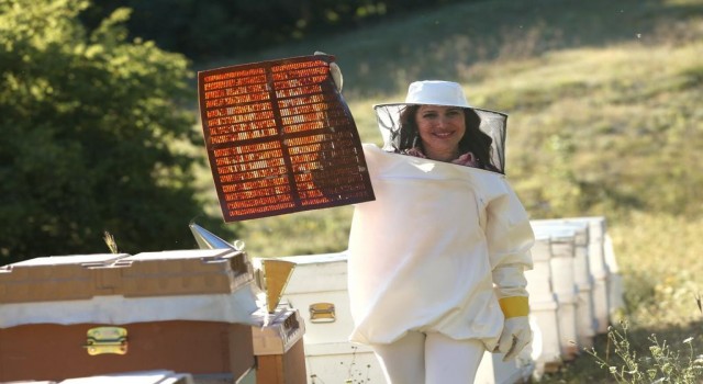 Propolis, burun spreyine girdi