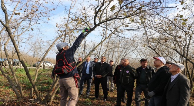 Samsunda 2022de 112 bin 301 ton fındık üretildi