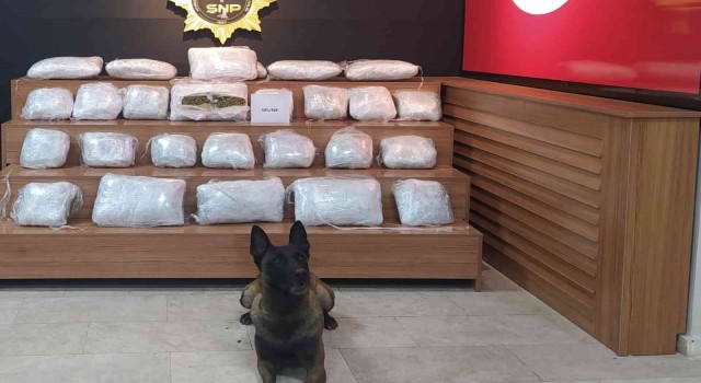 Şanlıurfada 21 kilo 550 gram skunk ele geçirildi