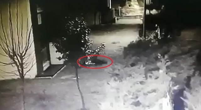 Sedefnur Çağların sır düşüşü kamerada