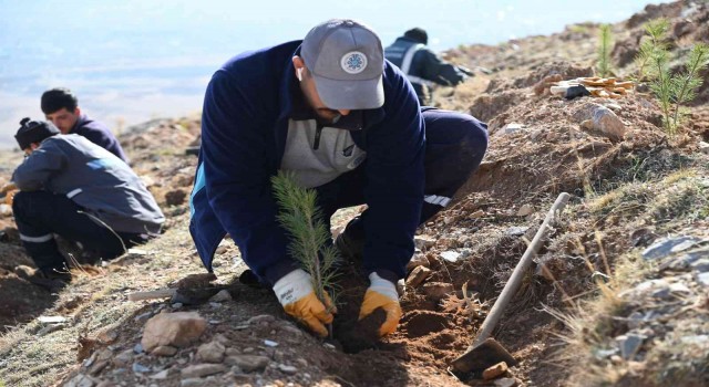 Selçukluda yeşil dokuya 22 bin 500 yeni fidan daha kazandırıldı