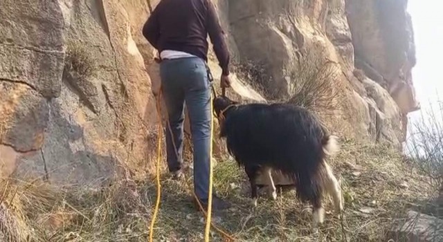 Siirtte kayalıklarda mahsur kalan 2 keçi kurtarıldı