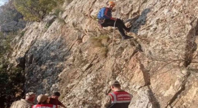 Siirtte kayalıklarda mahsur kalan keçiler 5 gün sonra kurtarıldı