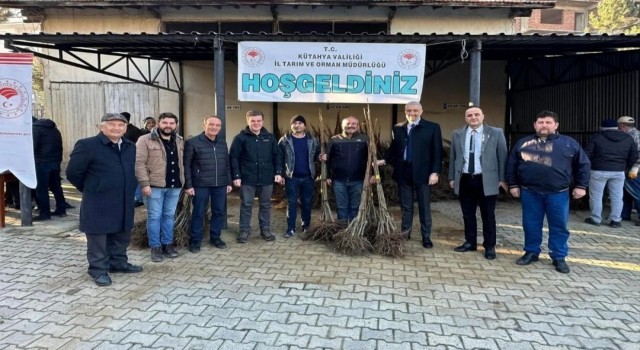 Simavda çiftçilere 7 bin 200 adet kestane fidanı dağıtıldı