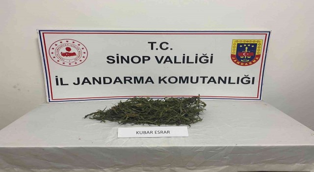 Sinopta jandarmadan uyuşturucu operasyonu