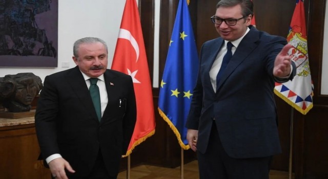 Sırbistan Cumhurbaşkanı Vucic: Türkiye önemli bir partner