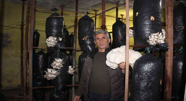Şırnaklı girişimci hurda demirlerden mantar üretim tesisi kurdu
