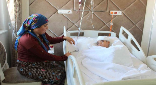 Sokak köpeğinin saldırısına uğrayan 6 yaşındaki çocuk ölümden döndü