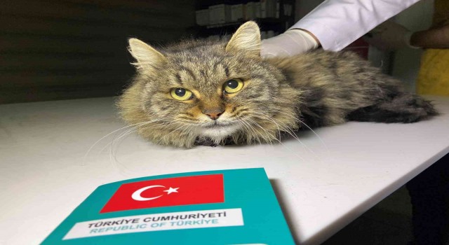 Son tarih 31 Aralık
