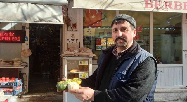 Süs eşyası olarak satılan minik balkabakları