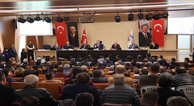 Talasta Arsalar Kapış Kapış