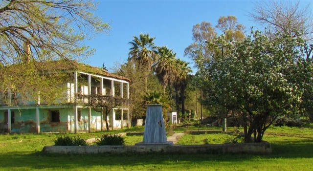 Tarihi balık çiftliği şimdilerde koyun ağılı oldu