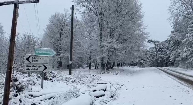Taşovanın yüksek kesimleri beyaza büründü