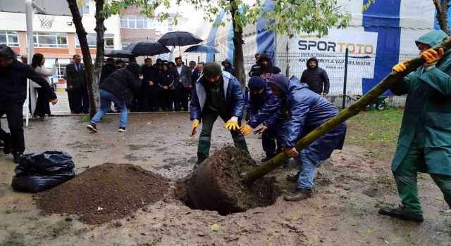 Terör saldırısında hayatını kaybeden Yağmurun anısına okuluna fidan dikildi