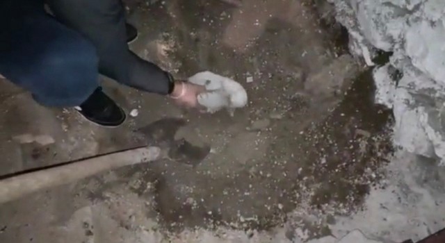 Toprağın altından cephane çıktı