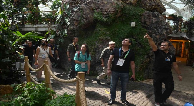 Tropikal Kelebek Bahçesi 596 bin 388 ziyaretçi sayısına ulaştı