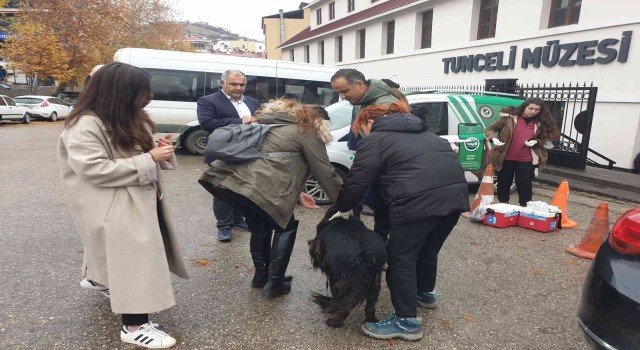 Tuncelide sokak hayvanlarını aşılama kampanyası başlatıldı