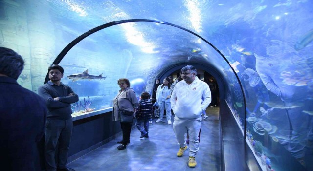 Tünel Akvaryumun ziyaretçi sayısı 200 bini geçti