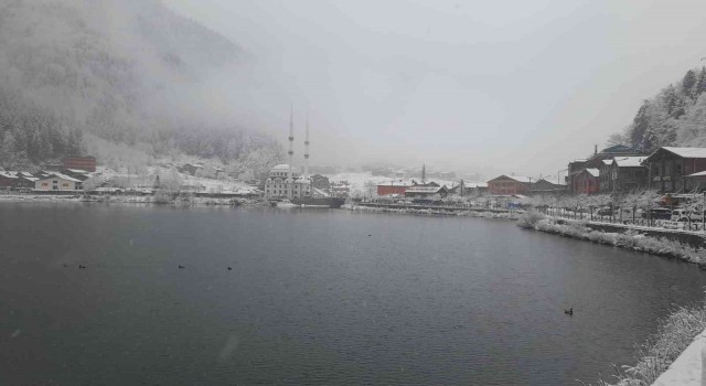 Turizm merkezi Uzungöle mevsimin ilk karı yağdı
