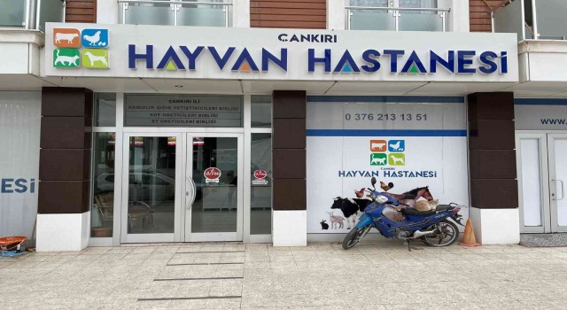Türkiyedeki 3 hayvan hastanesinden birisi: Bölgedeki çiftçiler için umut oldu