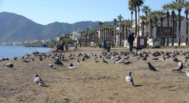 Ülkenin doğusunda kar, Marmariste deniz keyfi
