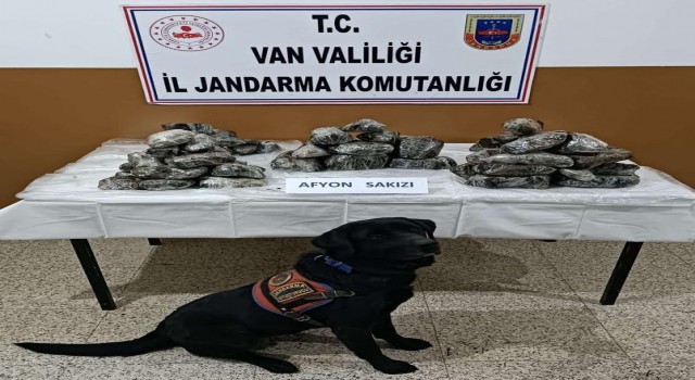 Vanda 33 kilo Afyon Sakızı ele geçirildi
