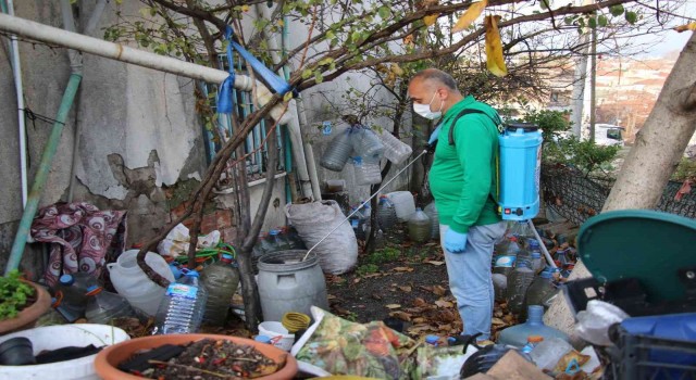 Yalova Belediyesinden larva noktalarına ilaçlama