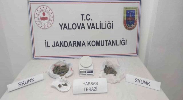 Yalovada uyuşturucu operasyonu: 2 gözaltı