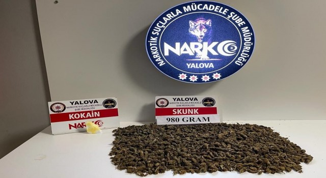 Yalovadaki uyuşturucu operasyonlarında 2 kişi tutuklandı