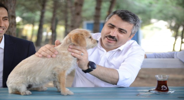 Yıldırımın sessiz sakinlerine 7-24 hizmet