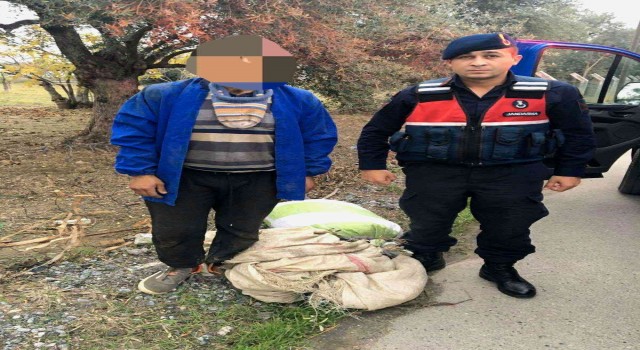 Zeytin hırsızı suçüstü yakalandı