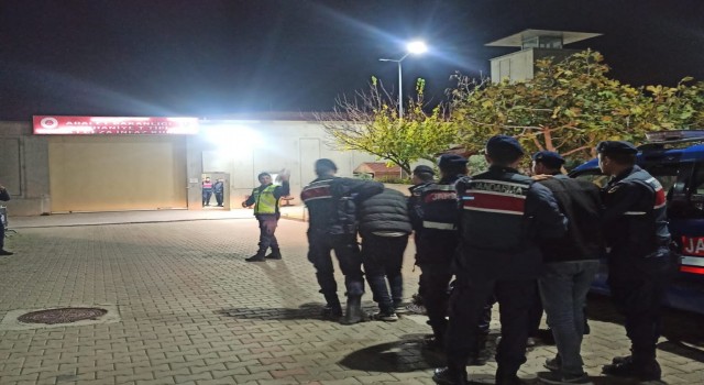 Zeytin hırsızları yakalandı, 18 kişi tutuklandı