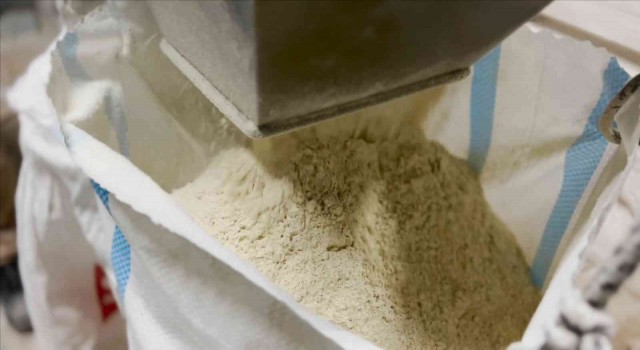 12 bin yıllık siyez taş değirmende una dönüştürülüyor, ülkenin dört bir yanında damakları tatlandırıyor