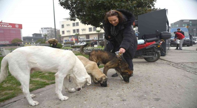 5 şişe atık bir cana mama oldu