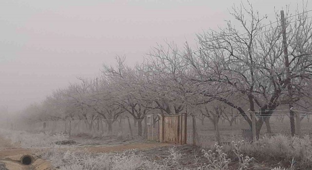 Adıyamanda kırağı her yeri beyaza bürüdü