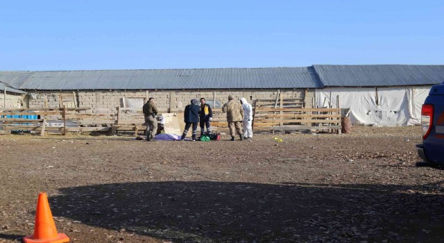 Ağrıda silahlı saldırı: 3 kişi kafasından vurularak öldürüldü
