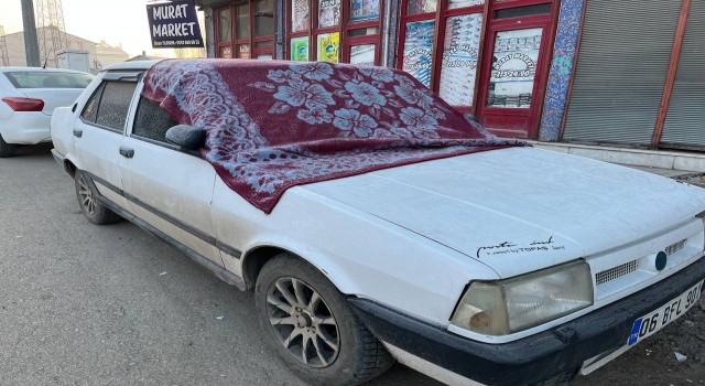 Ağrıda sis ve don etkili oldu