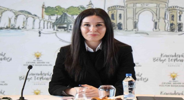 AK Partili Karaaslan: “Enerjide merkez ülke konumuna yükseliyoruz”