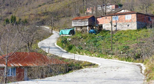 Altınorduda beton yol çalışmaları sürüyor