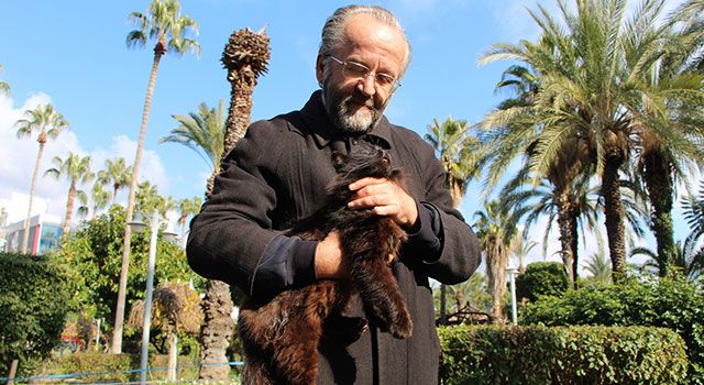 Antalya’da bir kadının kediye tekme atması güvenlik kamerasına yansıdı