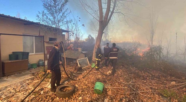 Antalyada evleri tehdit eden sazlık yangını