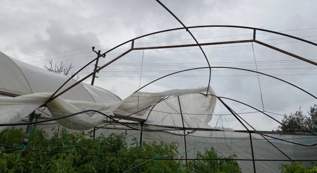 Antalyada hortum domates ve çilek seralarını parçaladı