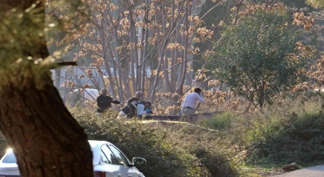 Antalyada ormanlık alanda kafası ve kolları olmayan erkek cesedi bulundu